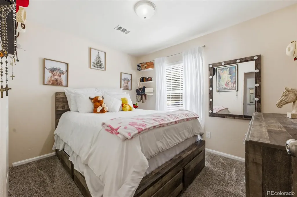 4858 Joplin Court Denver CO 80239