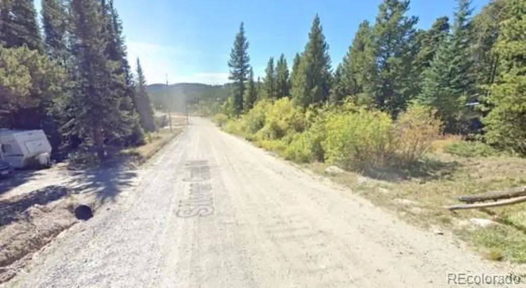 U1 Lot 47 Silver Creek Road Idaho Springs CO 80452