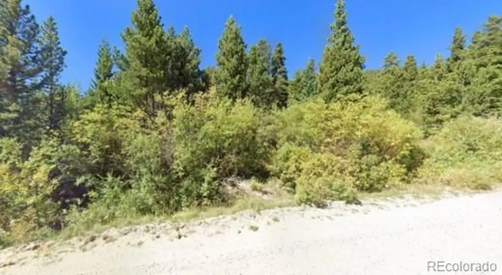 U1 Lot 47 Silver Creek Road Idaho Springs CO 80452
