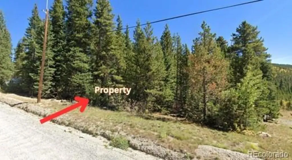 U1 Lot 47 Silver Creek Road Idaho Springs CO 80452