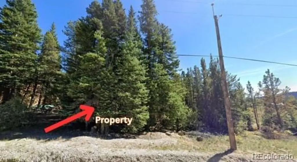 U1 Lot 47 Silver Creek Road Idaho Springs CO 80452