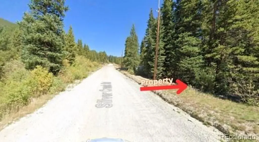 U1 Lot 47 Silver Creek Road Idaho Springs CO 80452