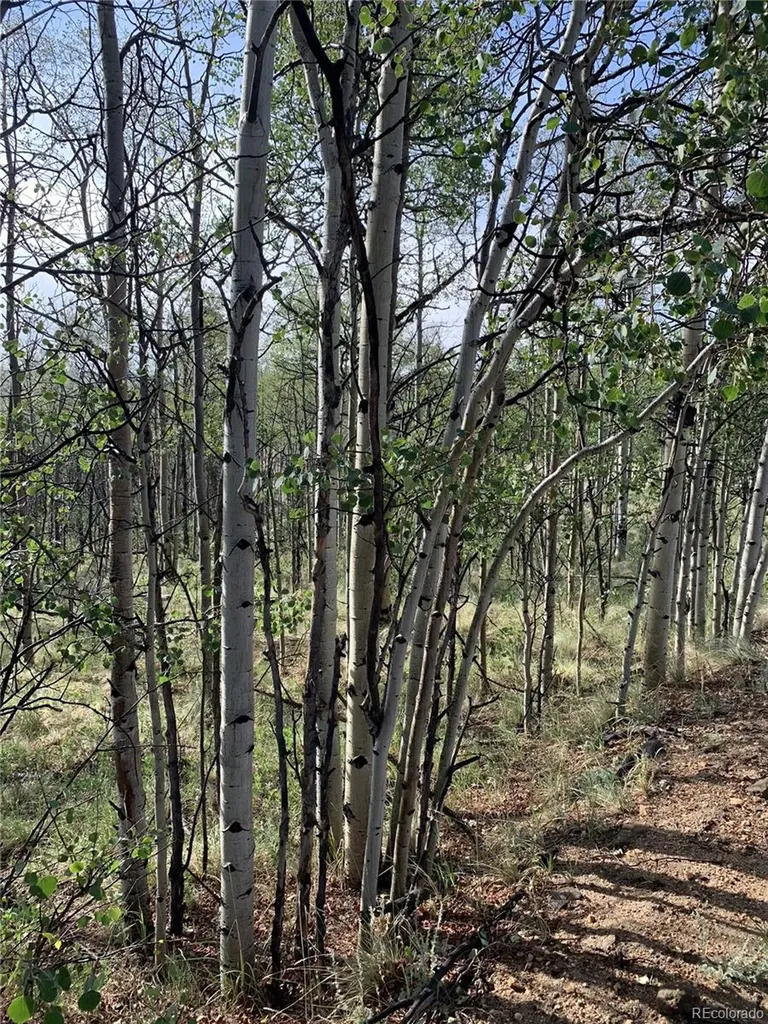 540 Vulture Lane Como CO 80432