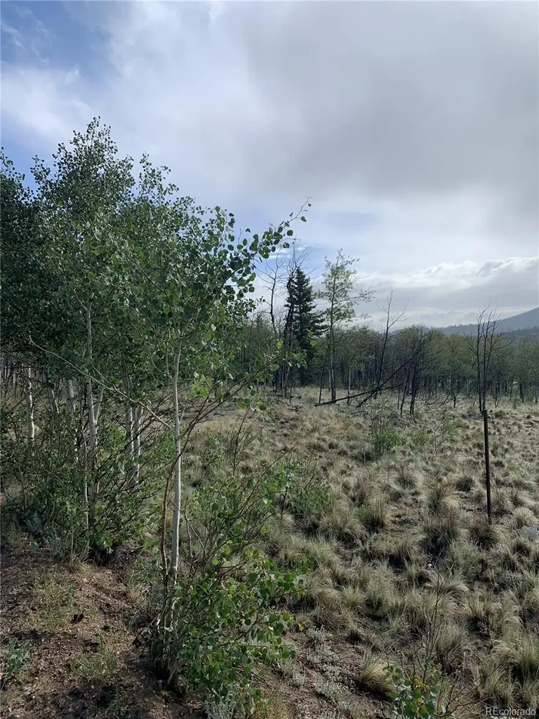 540 Vulture Lane Como CO 80432