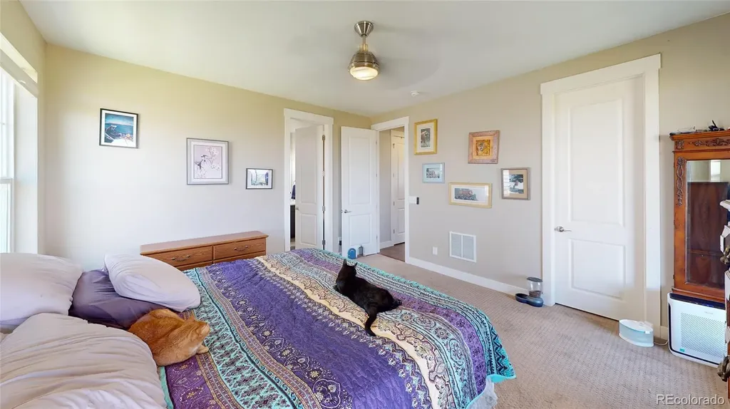 3403 Linden Circle Dacono CO 80514