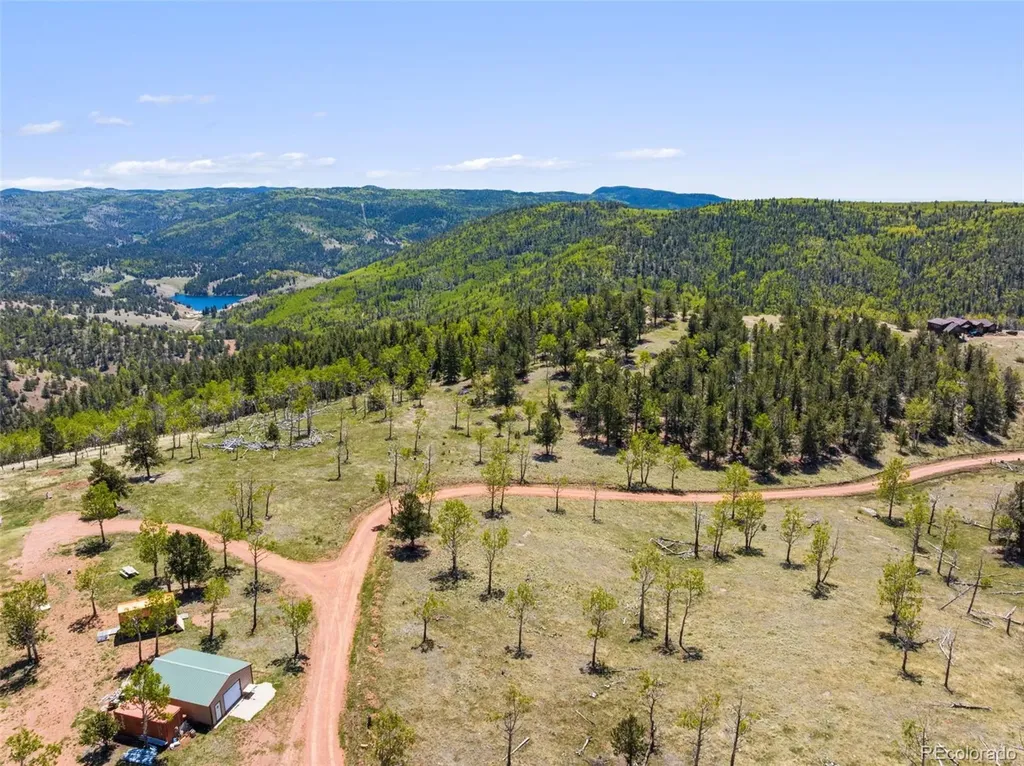 621 School House Hill Victor CO 80860