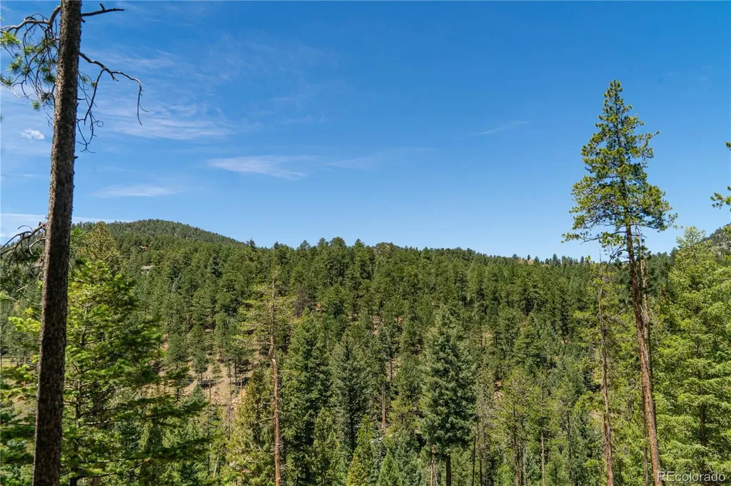 6814 Lynx Lair Road Evergreen CO 80439