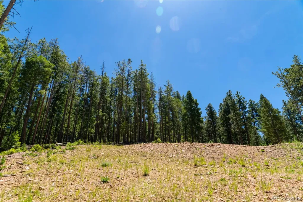6814 Lynx Lair Road Evergreen CO 80439