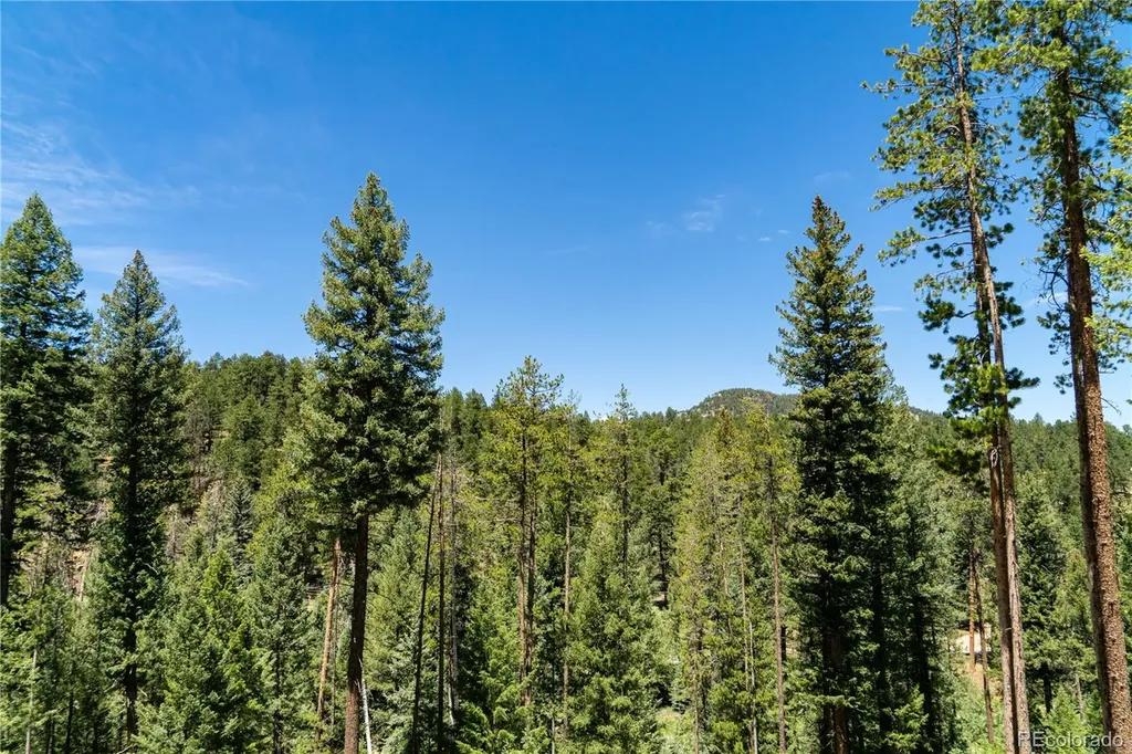 6814 Lynx Lair Road Evergreen CO 80439