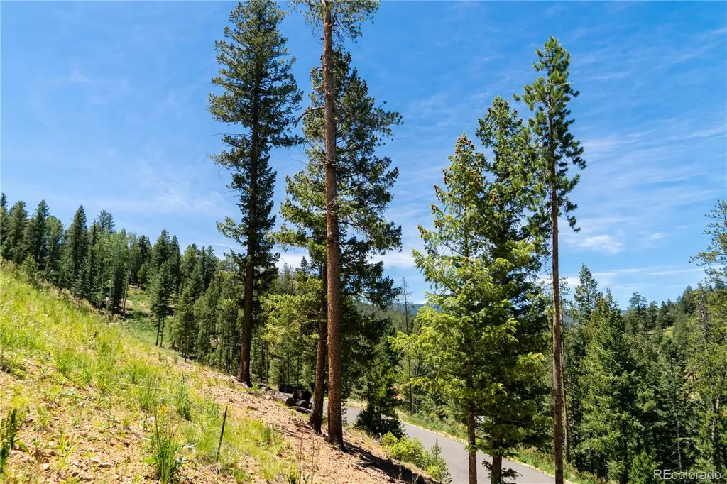 6814 Lynx Lair Road Evergreen CO 80439
