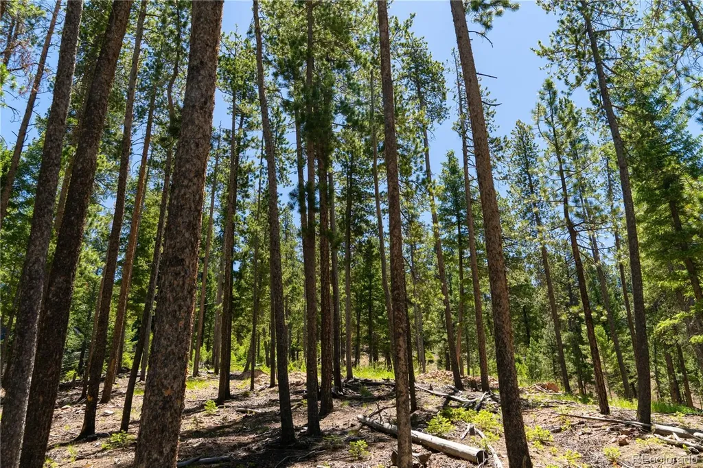 6814 Lynx Lair Road Evergreen CO 80439