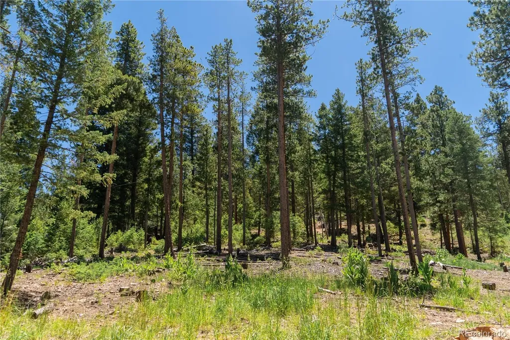 6814 Lynx Lair Road Evergreen CO 80439