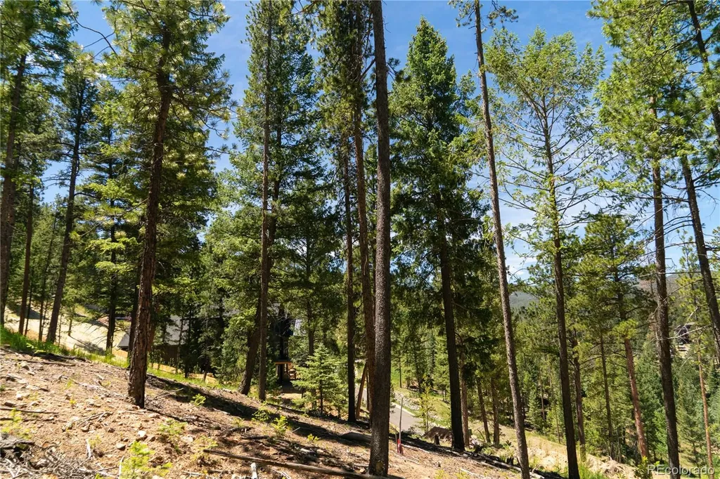 6814 Lynx Lair Road Evergreen CO 80439