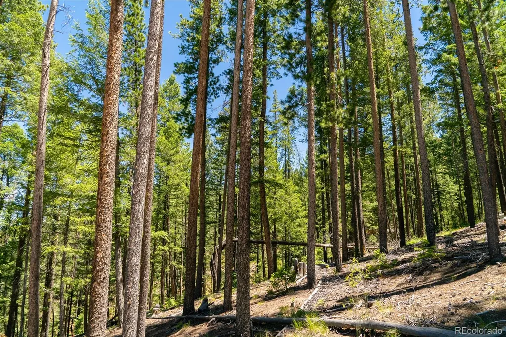 6814 Lynx Lair Road Evergreen CO 80439