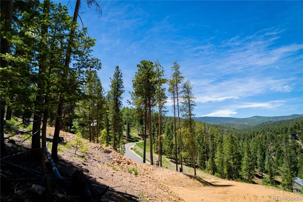 6814 Lynx Lair Road Evergreen CO 80439