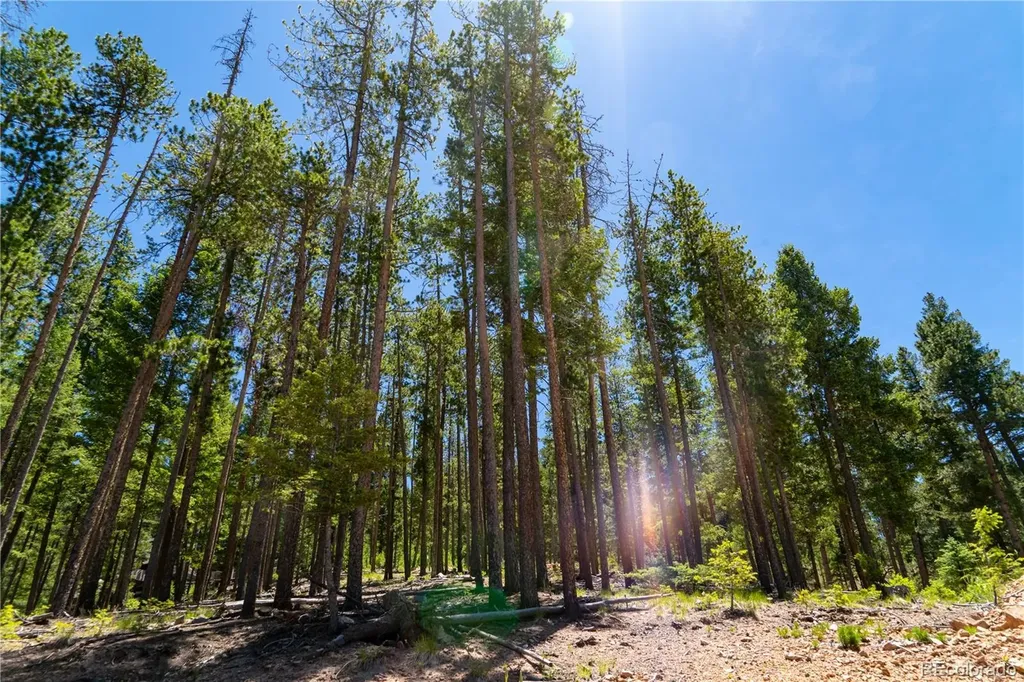 6814 Lynx Lair Road Evergreen CO 80439