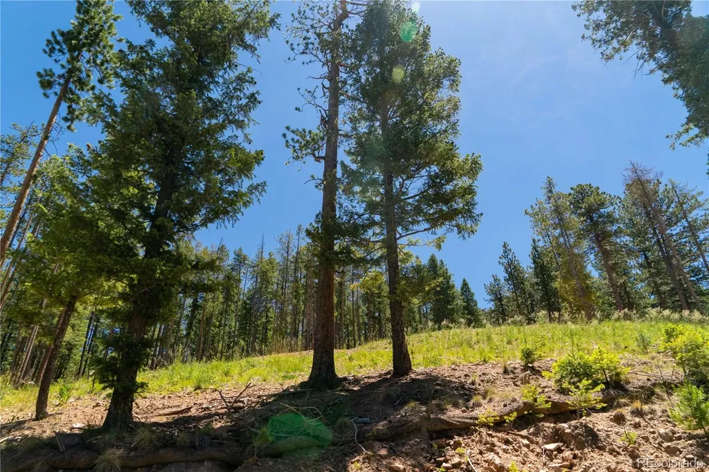 6814 Lynx Lair Road Evergreen CO 80439