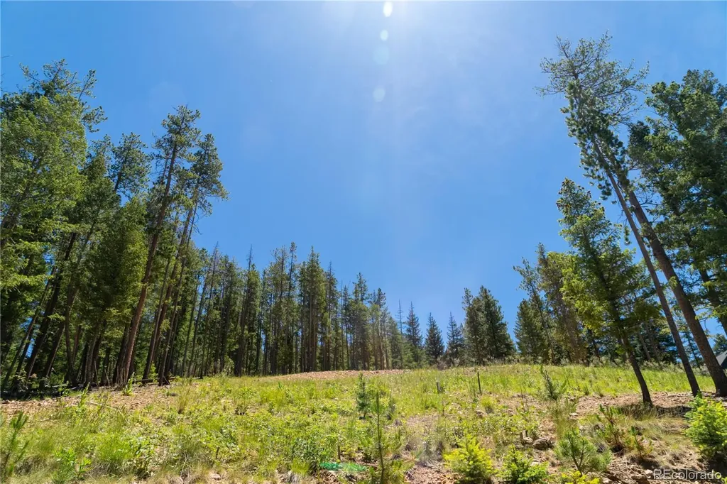 6814 Lynx Lair Road Evergreen CO 80439