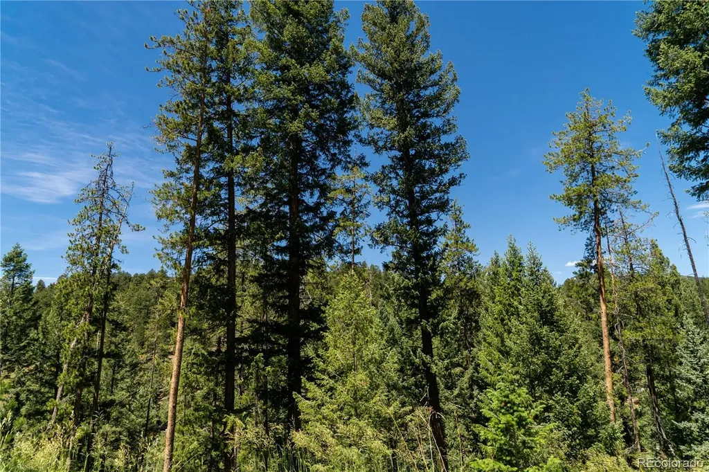 6814 Lynx Lair Road Evergreen CO 80439