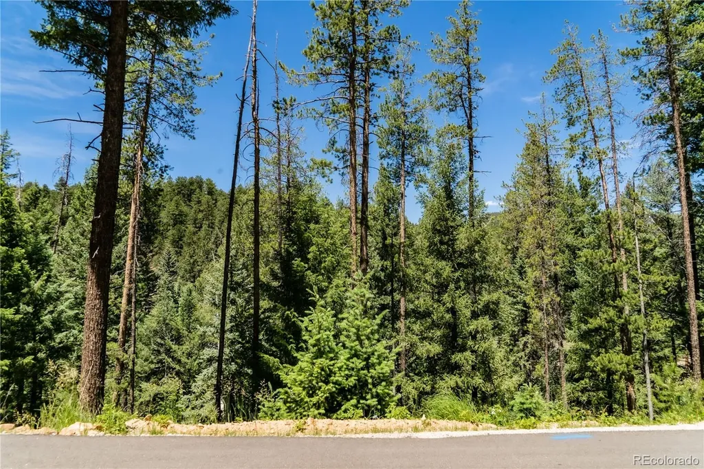 6814 Lynx Lair Road Evergreen CO 80439