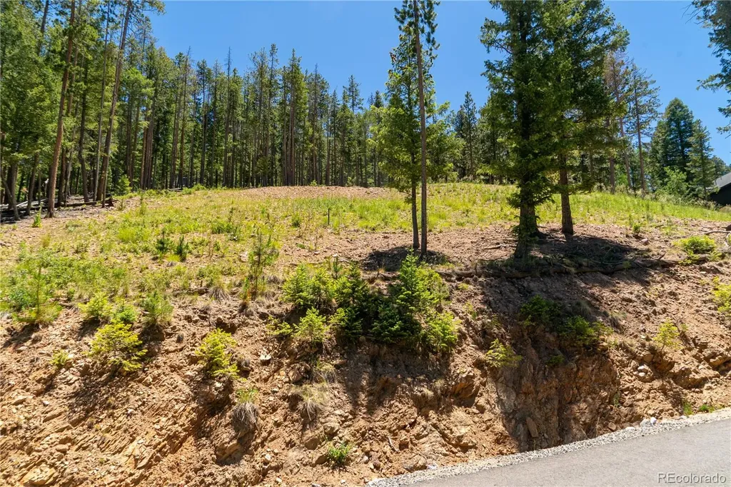 6814 Lynx Lair Road Evergreen CO 80439