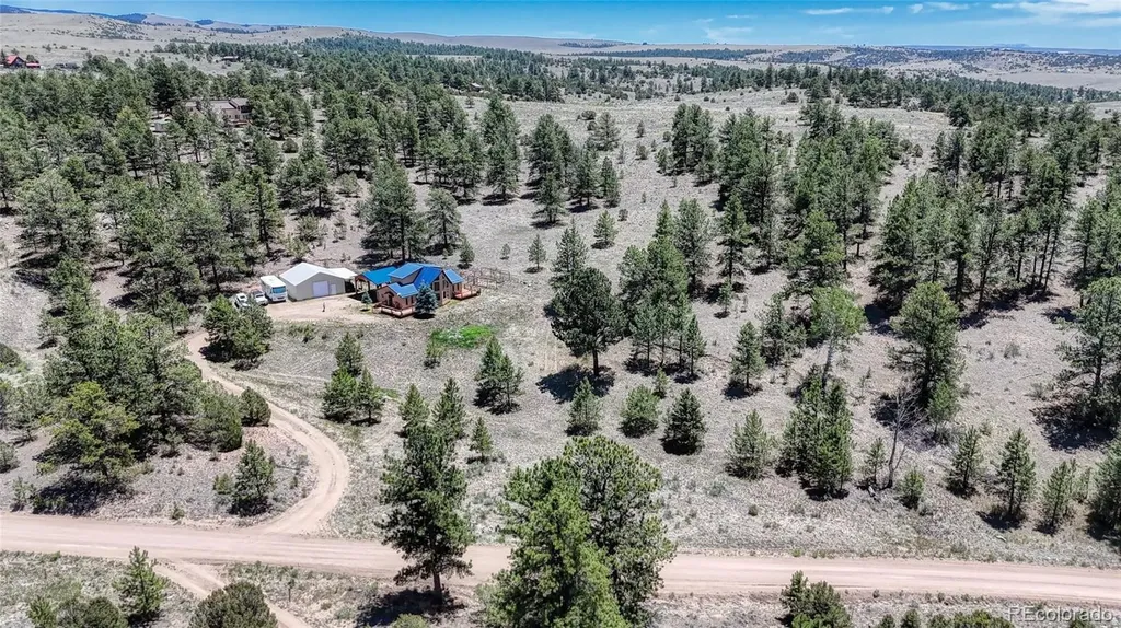 370 Todd Way Westcliffe CO 81252