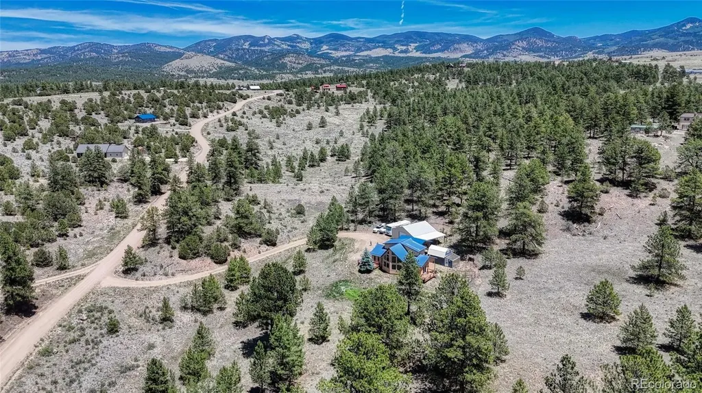 370 Todd Way Westcliffe CO 81252