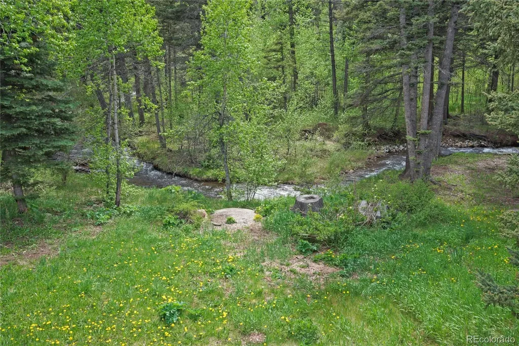 25 Cottonwood Trail La Veta CO 81055