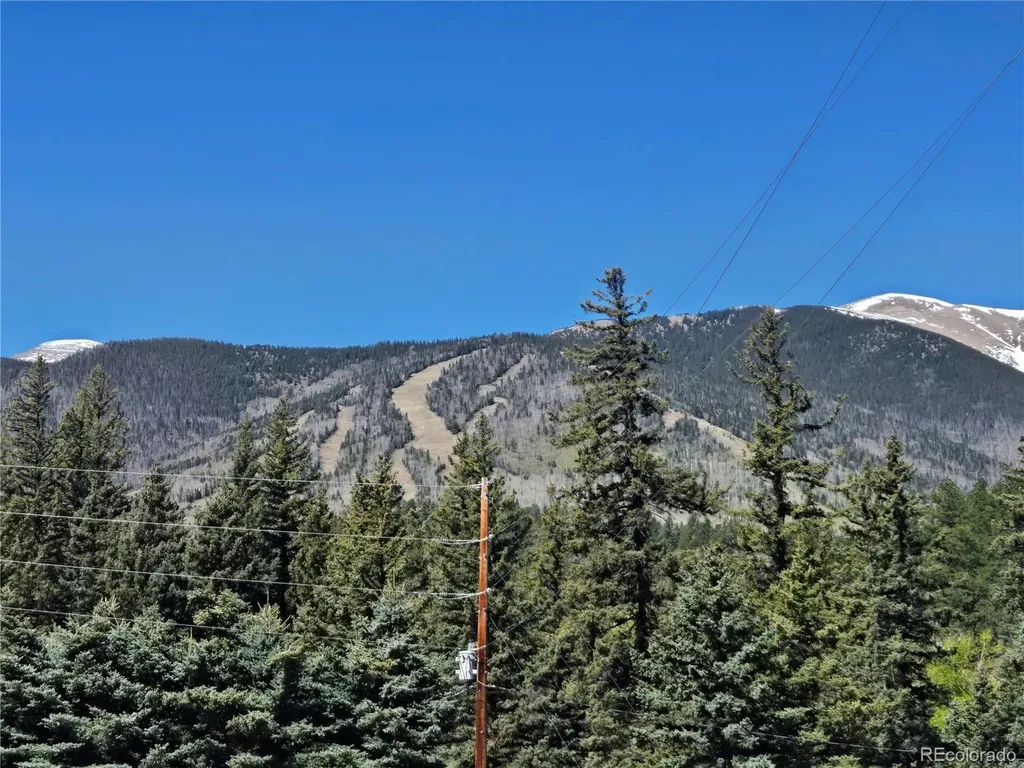 25 Cottonwood Trail La Veta CO 81055