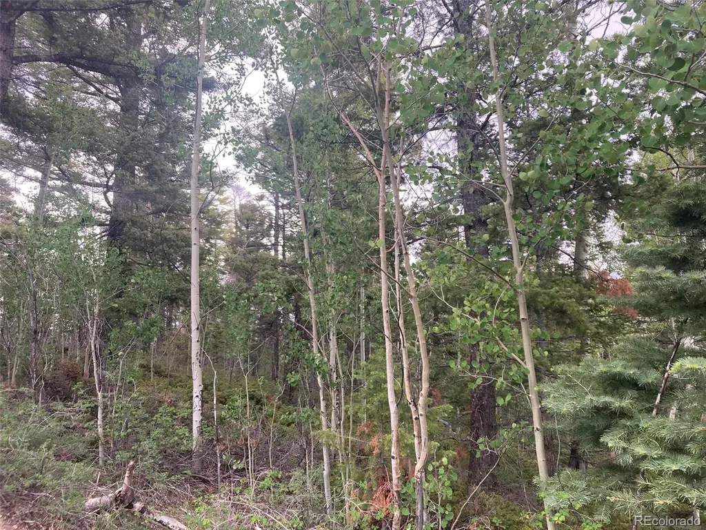 Lot 6351 Aragon Road San Luis CO 81152