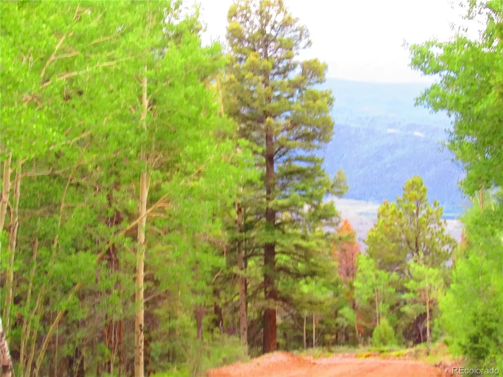 Lot 6351 Aragon Road San Luis CO 81152
