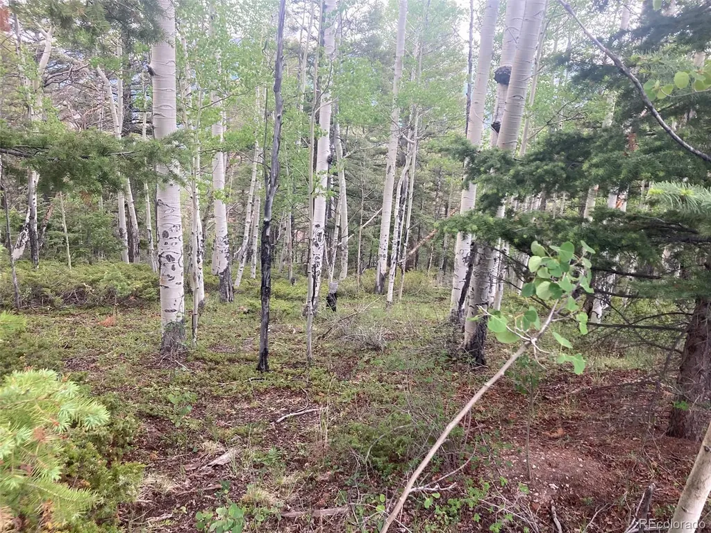 Lot 6351 Aragon Road San Luis CO 81152