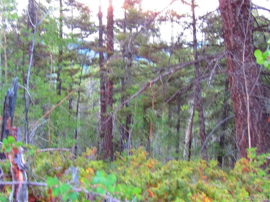 Lot 6351 Aragon Road San Luis CO 81152