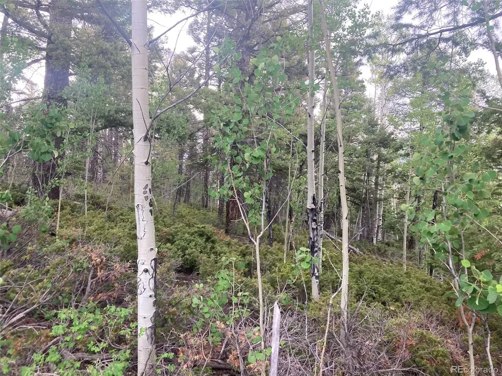 Lot 6351 Aragon Road San Luis CO 81152