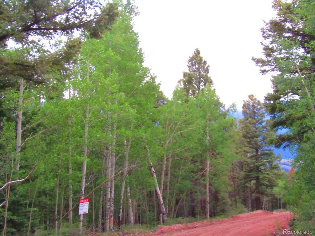 Lot 6351 Aragon Road San Luis CO 81152