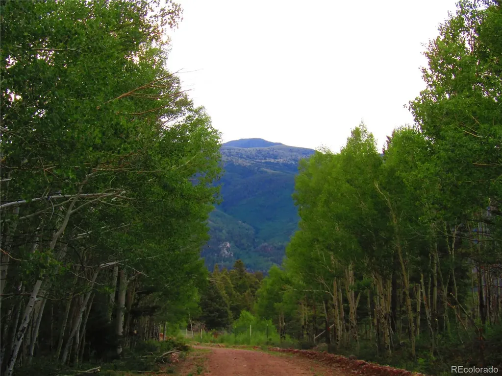 Lot 6351 Aragon Road San Luis CO 81152