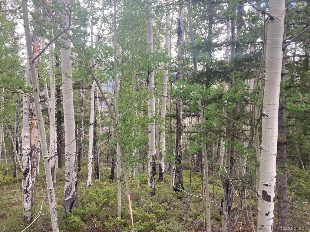 Lot 6351 Aragon Road San Luis CO 81152