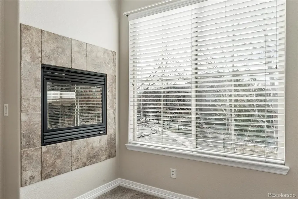 10064 Bluffmont Court Lone Tree CO 80124