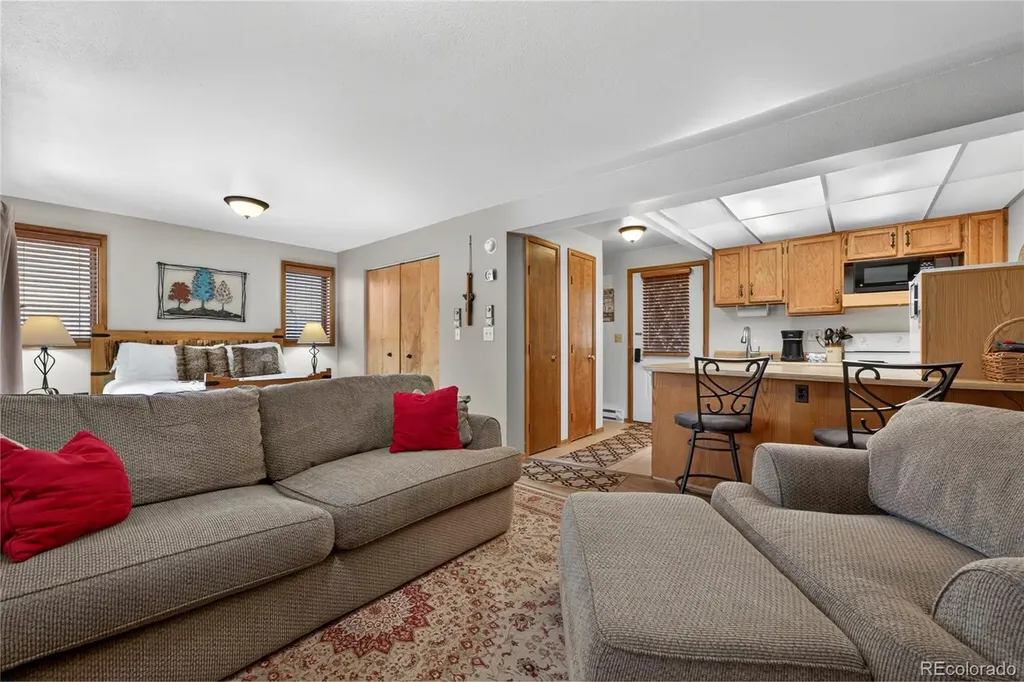 59 River Drive Winter Park CO 80482