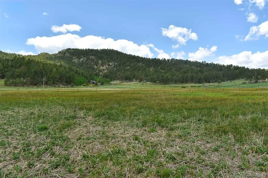 729 Valley Drive Guffey CO 80820