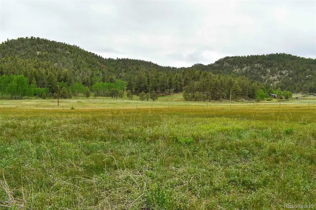 729 Valley Drive Guffey CO 80820