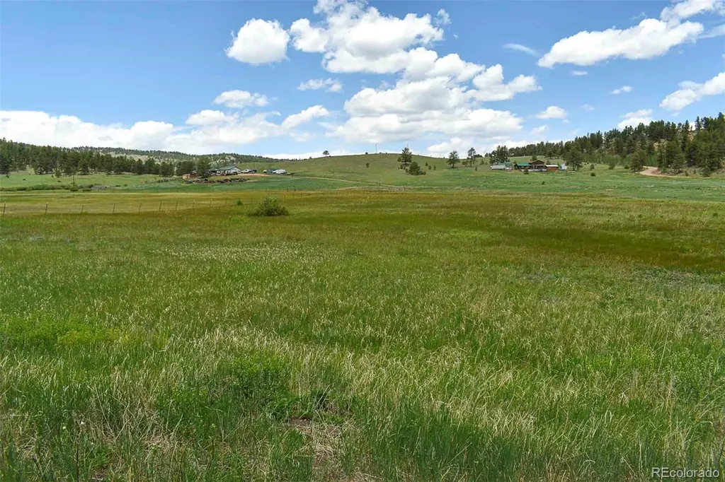 729 Valley Drive Guffey CO 80820