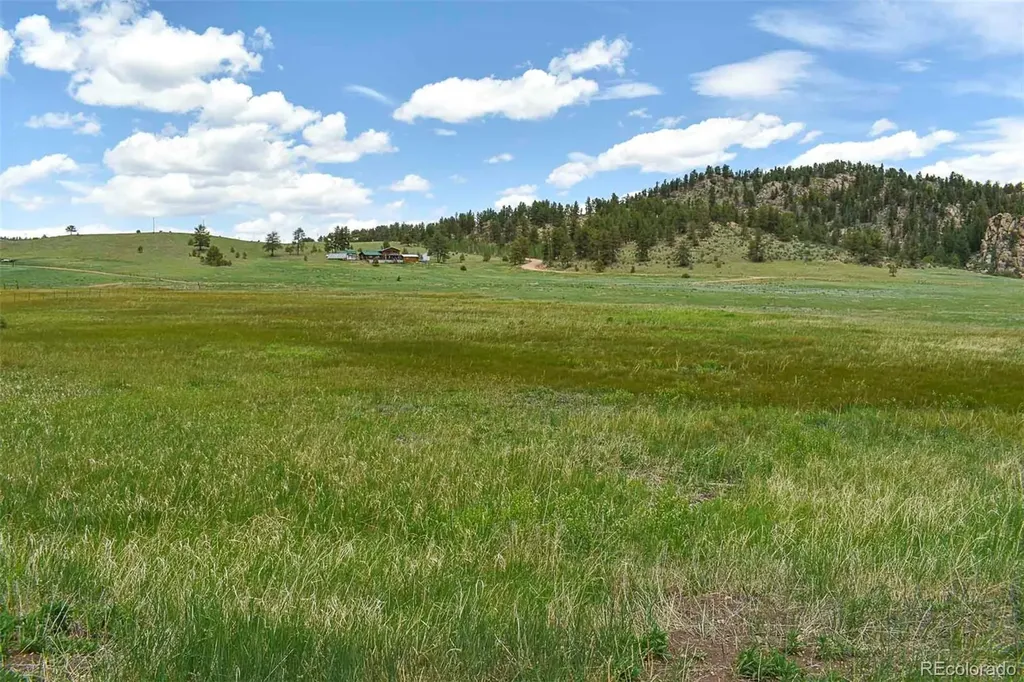 729 Valley Drive Guffey CO 80820