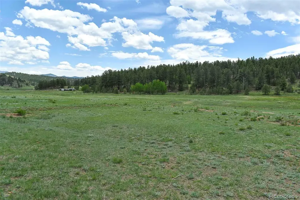 729 Valley Drive Guffey CO 80820