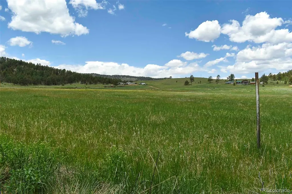 729 Valley Drive Guffey CO 80820
