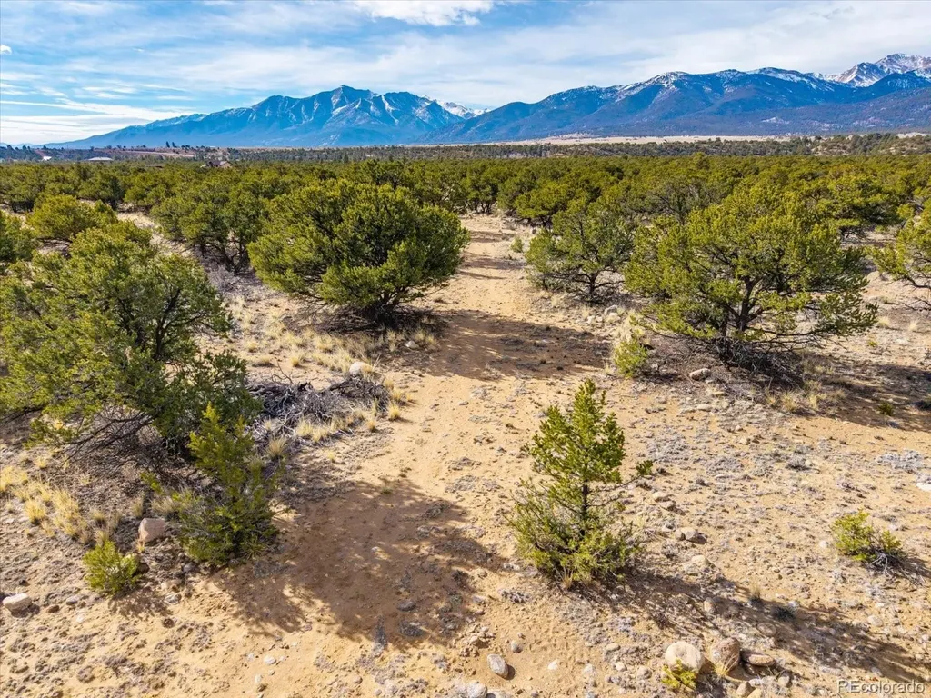 33071 County Road 371 Buena Vista CO 81211