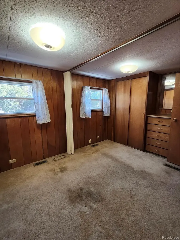 33071 County Road 371 Buena Vista CO 81211