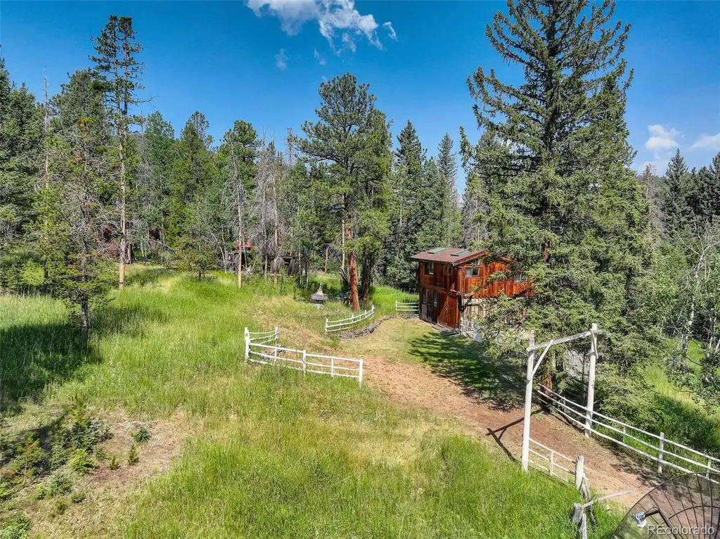 28942 Shadow Mountain Drive Conifer CO 80433
