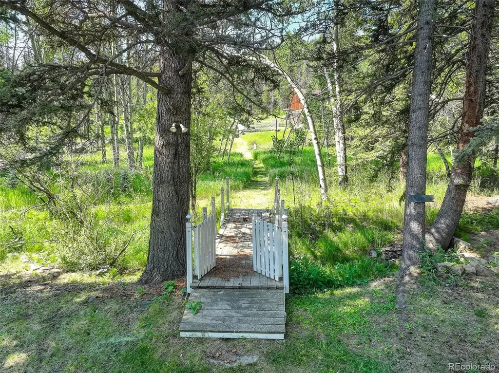 28942 Shadow Mountain Drive Conifer CO 80433