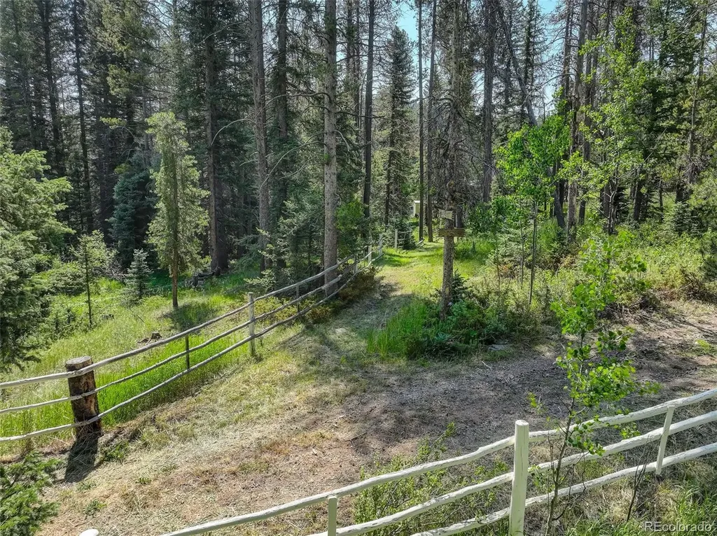 28942 Shadow Mountain Drive Conifer CO 80433